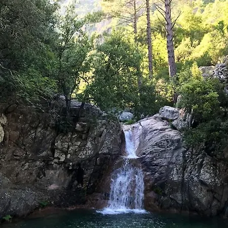 Διαμέρισμα Spacieux A Porto-vecchio Avec Piscine Partageeb