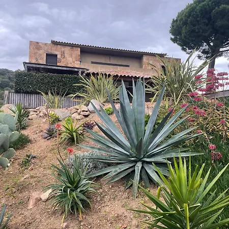 Spacieux à Porto-vecchio Avec Piscine Partagéeb