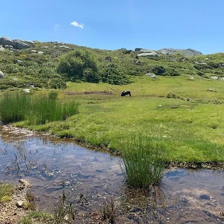 Spacieux à Porto-vecchio Avec Piscine Partagéeb Apartamento *