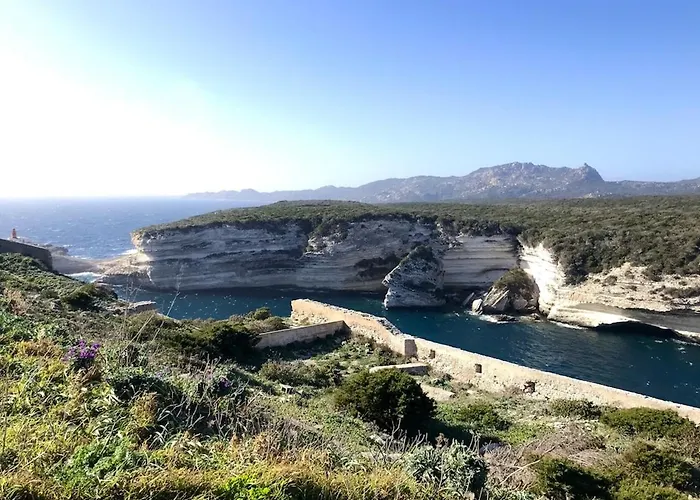 公寓 Spacieux A Porto-vecchio Avec Piscine Partageeb 维琪奥港