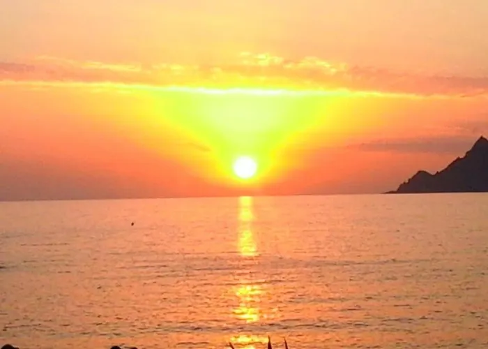 公寓 Spacieux A Porto-vecchio Avec Piscine Partageeb *