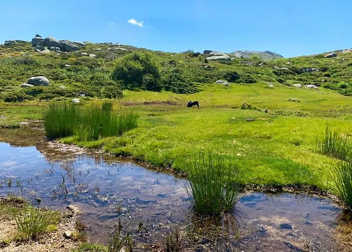Spacieux A Porto-vecchio Avec Piscine Partageeb * Porto-Vecchio (Corsica)