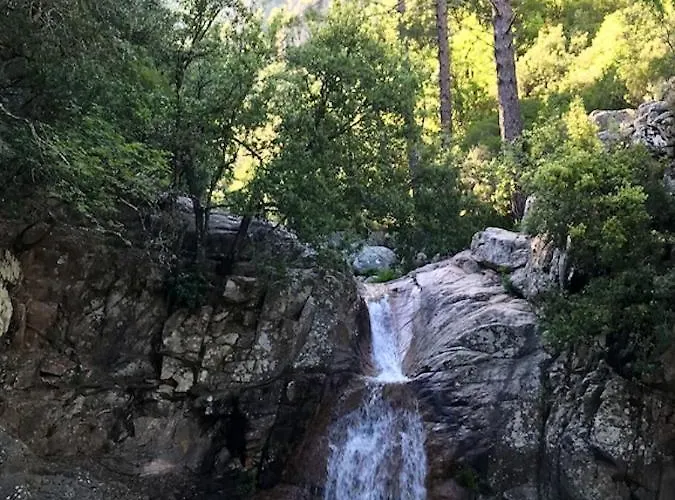Appartement Spacieux A Porto-vecchio Avec Piscine Partageeb