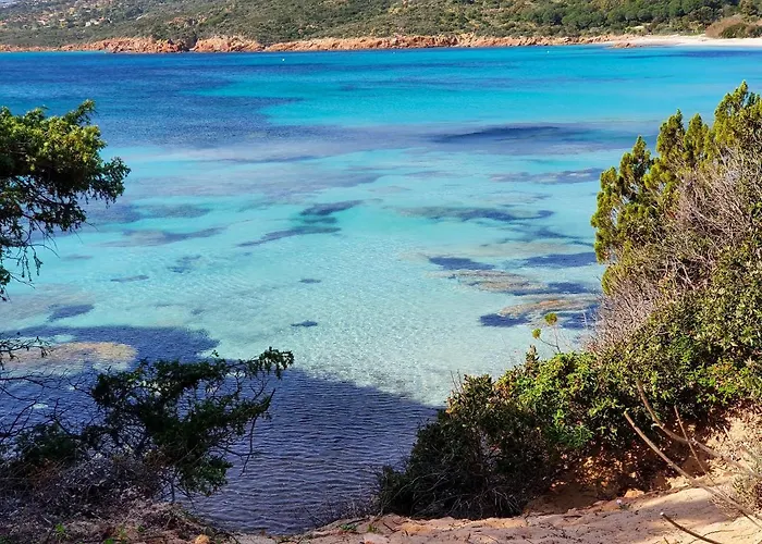 Spacieux A Porto-vecchio Avec Piscine Partageeb 公寓 *