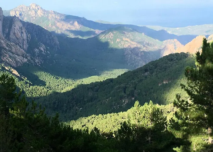 Spacieux A Porto-vecchio Avec Piscine Partageeb 公寓