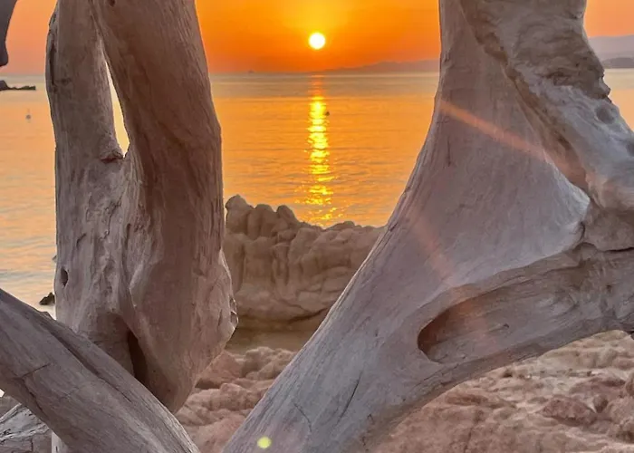 Spacieux A Porto-vecchio Avec Piscine Partageeb 维琪奥港