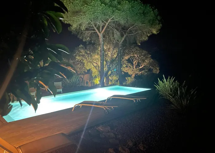 公寓 Spacieux A Porto-vecchio Avec Piscine Partageeb