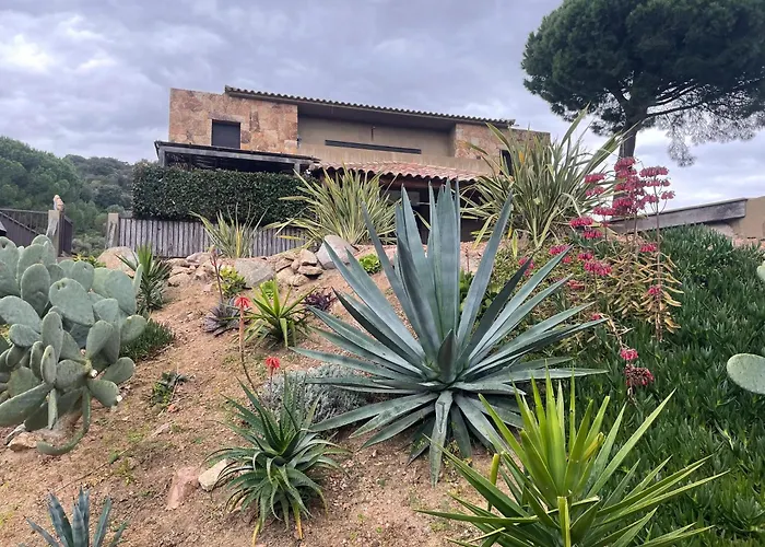 Spacieux A Porto-vecchio Avec Piscine Partageeb
