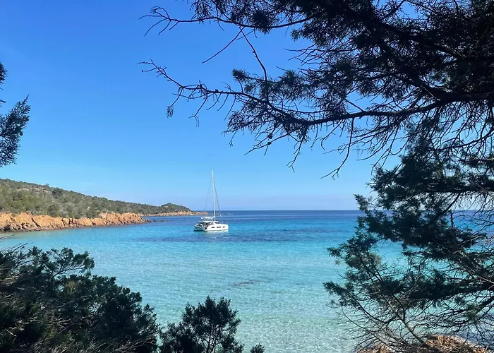 公寓 Spacieux A Porto-vecchio Avec Piscine Partageeb