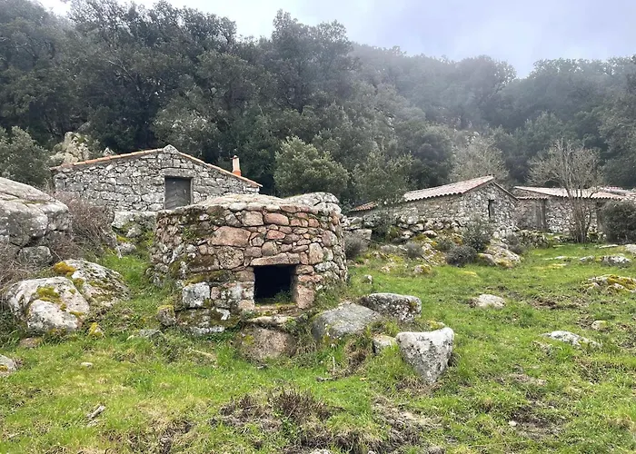 Appartement Spacieux A Porto-vecchio Avec Piscine Partageeb *